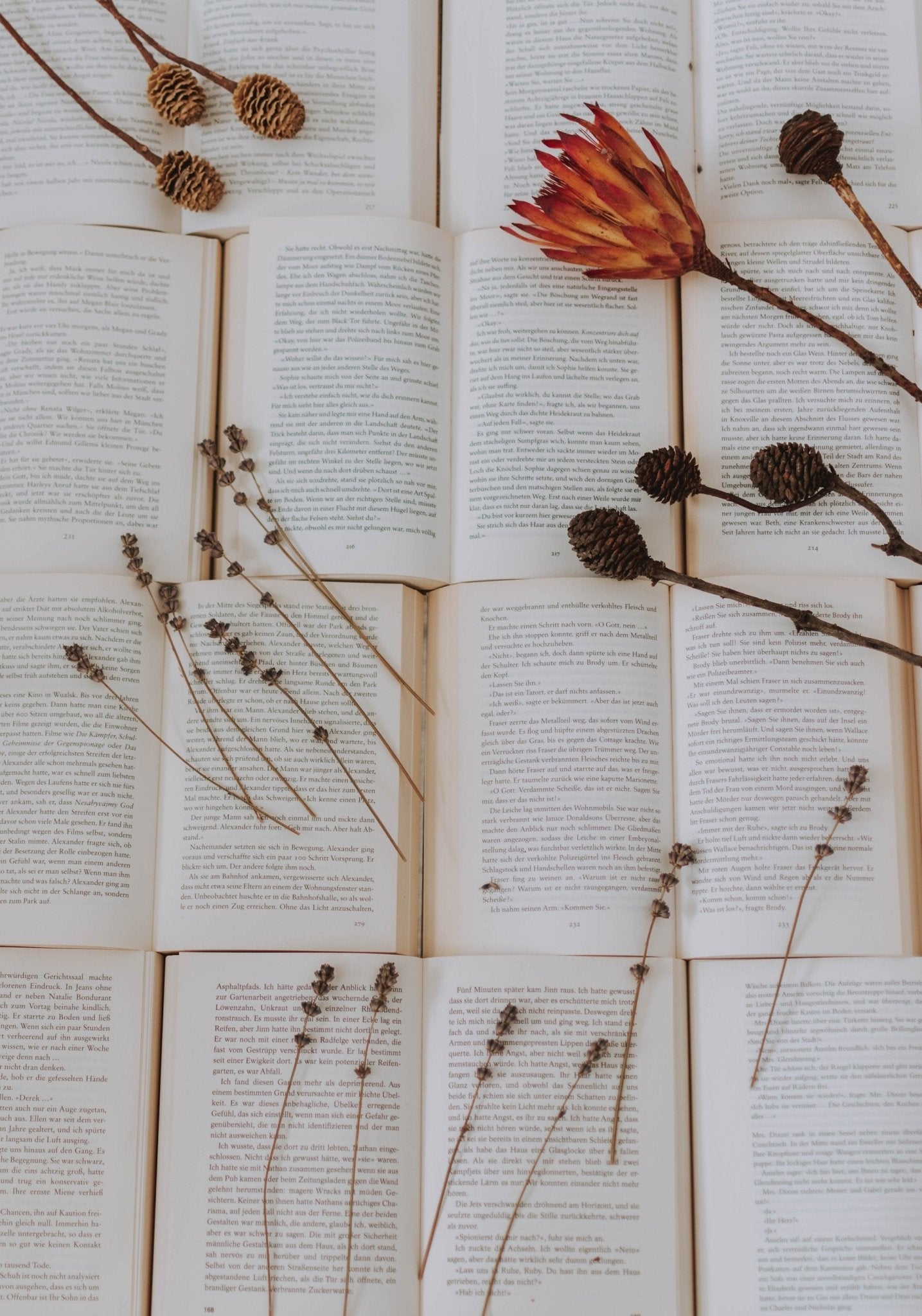 The Best Books by Muslim Women Authors You Need to Read - Mersi Cosmetics